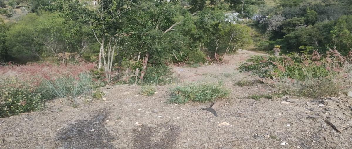 Foto de terreno habitacional en venta en  , montemorelos centro, montemorelos, nuevo león, 0 No. 05