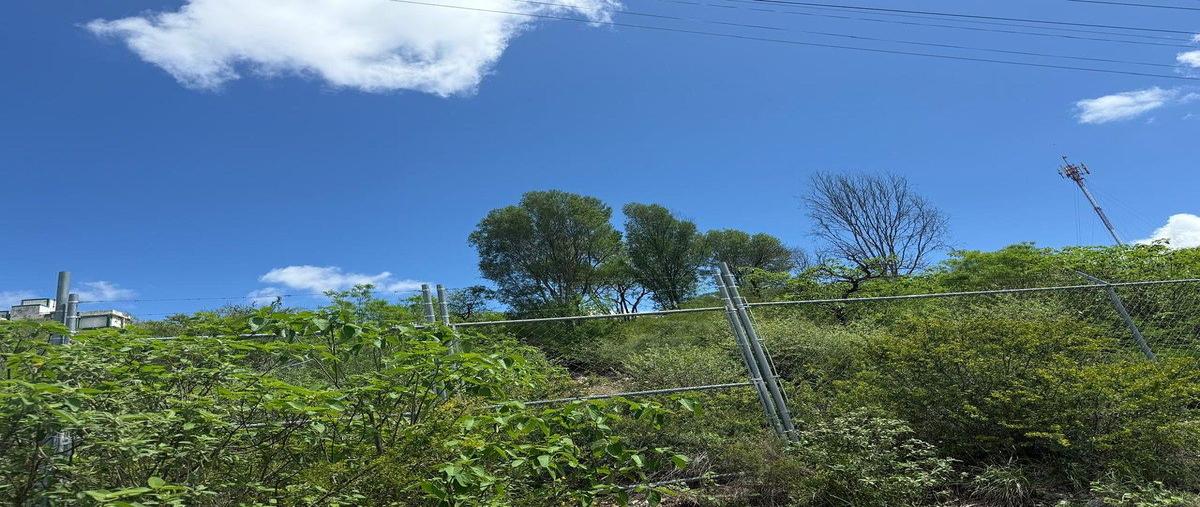 Foto de terreno comercial en venta en  , montemorelos centro, montemorelos, nuevo león, 0 No. 05