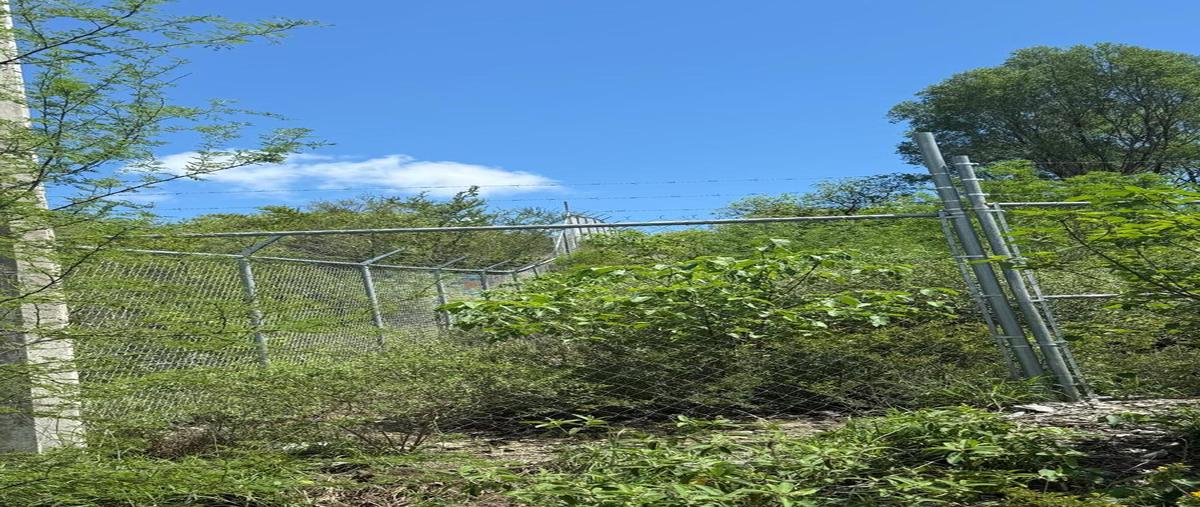 Foto de terreno habitacional en venta en  , montemorelos centro, montemorelos, nuevo león, 0 No. 04