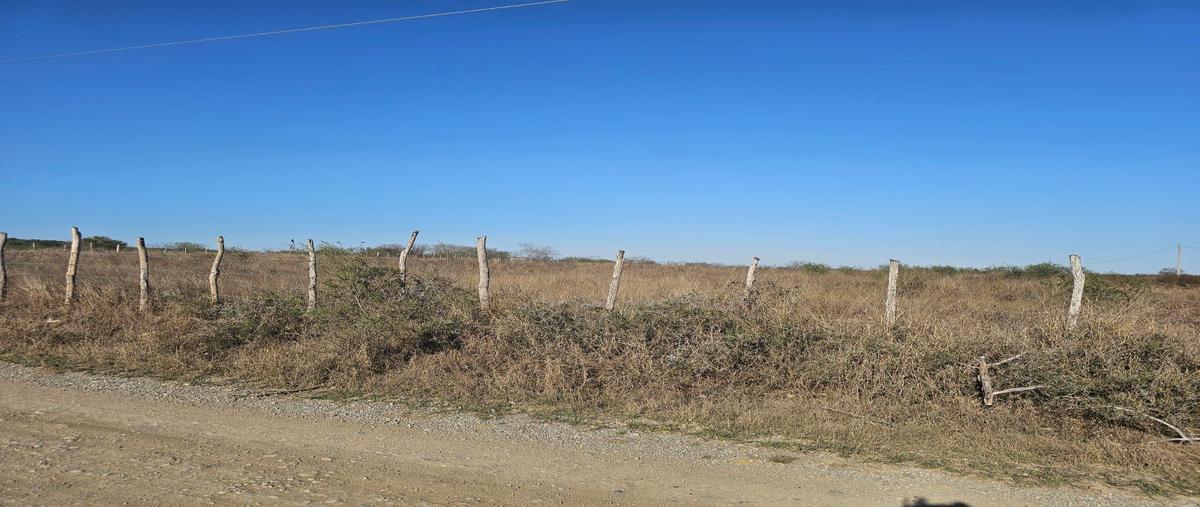 Foto de terreno habitacional en venta en  , montemorelos centro, montemorelos, nuevo león, 0 No. 03