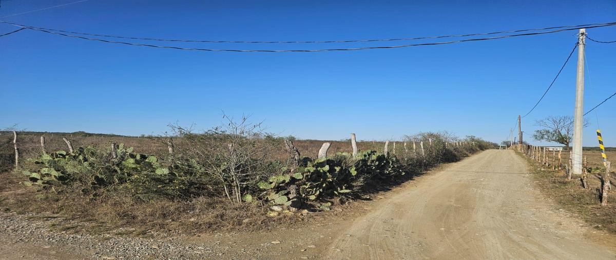 Foto de terreno habitacional en venta en  , montemorelos centro, montemorelos, nuevo león, 0 No. 05