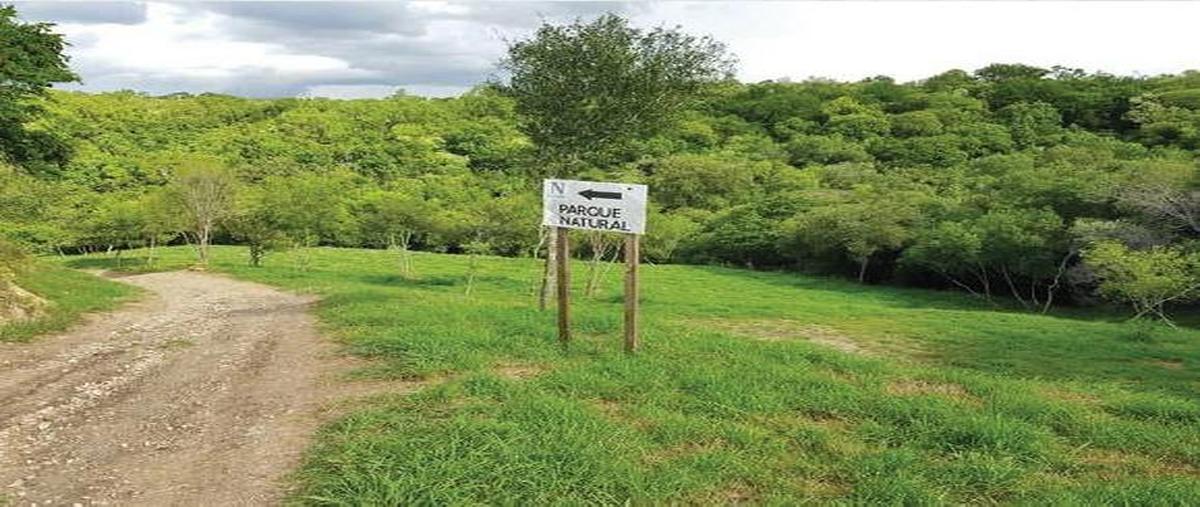 Foto de terreno habitacional en venta en  , montemorelos centro, montemorelos, nuevo león, 31271413 No. 05