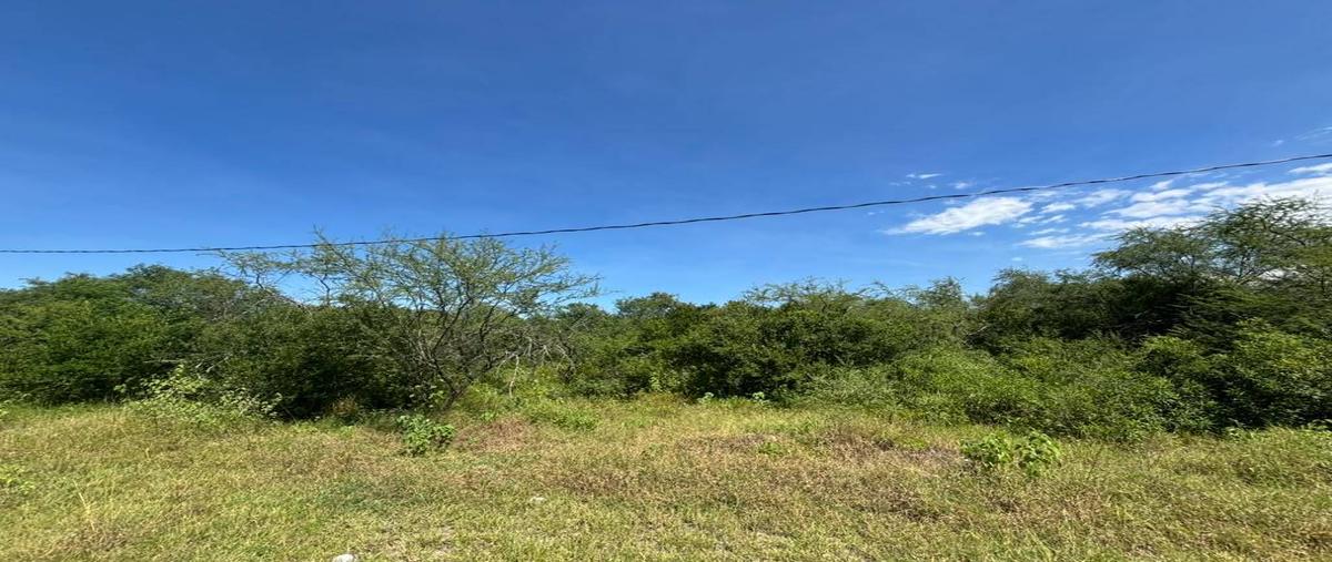 Foto de terreno habitacional en venta en  , montemorelos centro, montemorelos, nuevo león, 0 No. 03