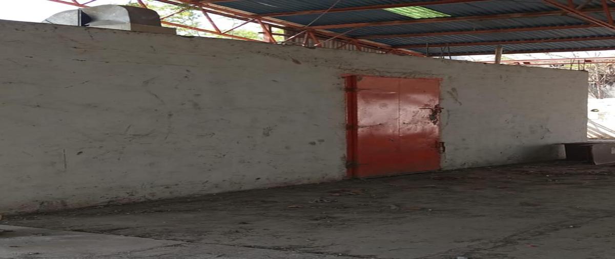 Foto de terreno habitacional en venta en  , montemorelos centro, montemorelos, nuevo león, 31615265 No. 05