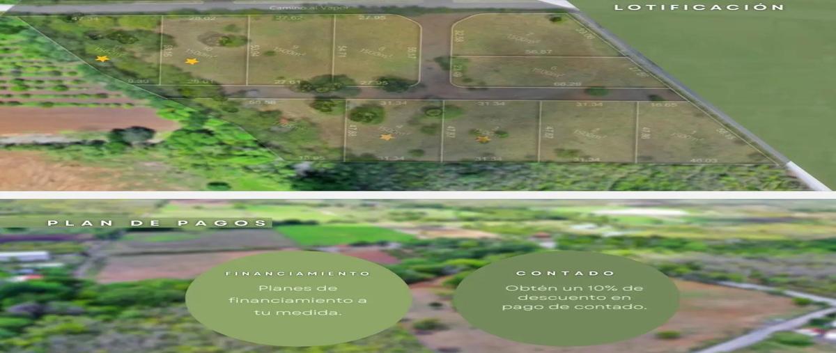 Foto de terreno habitacional en venta en  , montemorelos centro, montemorelos, nuevo león, 31615266 No. 03