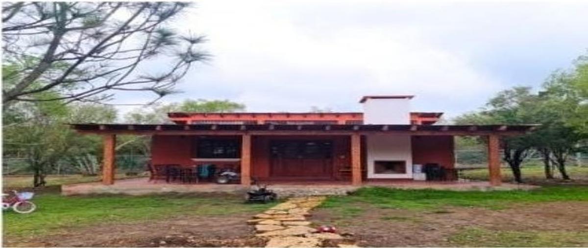 Foto de rancho en venta en montemorelos , montemorelos centro, montemorelos, nuevo león, 30203299 No. 03