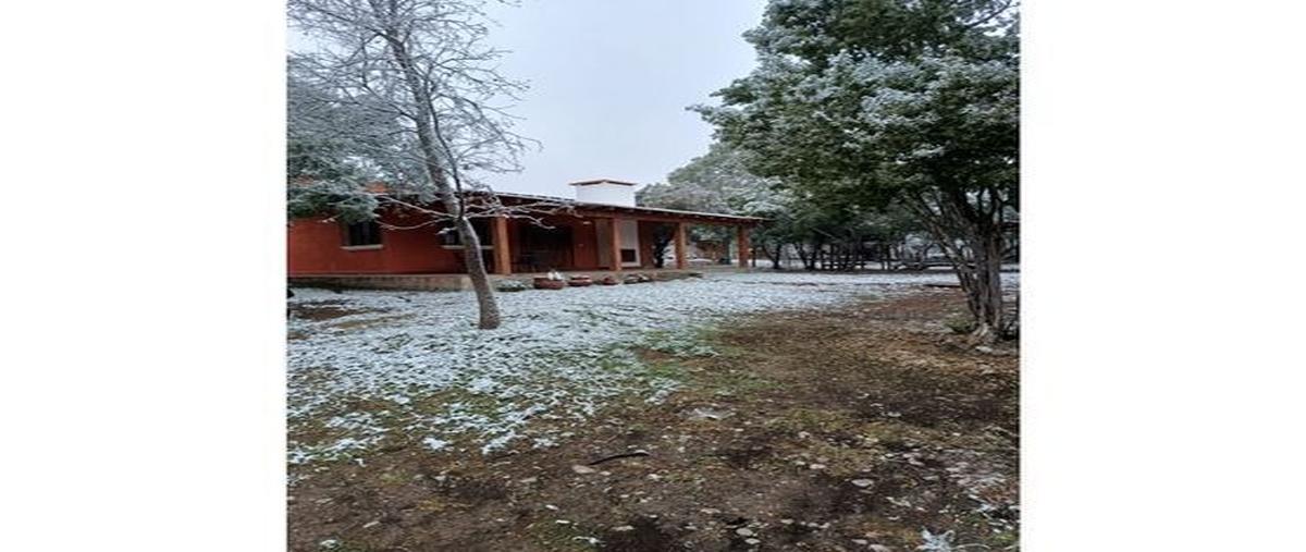 Foto de rancho en venta en montemorelos , montemorelos centro, montemorelos, nuevo león, 30203299 No. 05