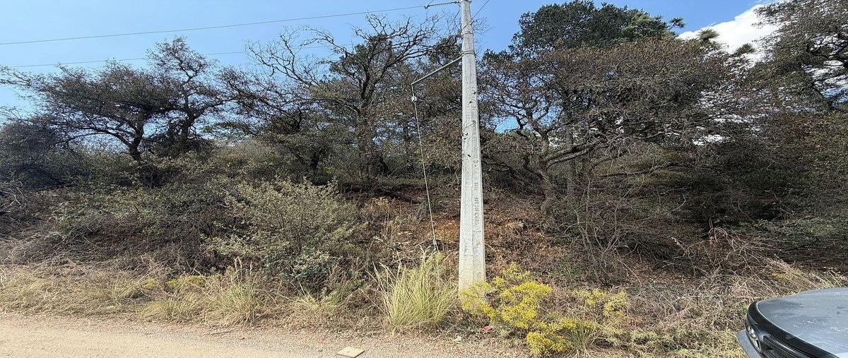 Foto de terreno habitacional en venta en monterreal , mesa de las tablas, arteaga, coahuila de zaragoza, 30983459 No. 03