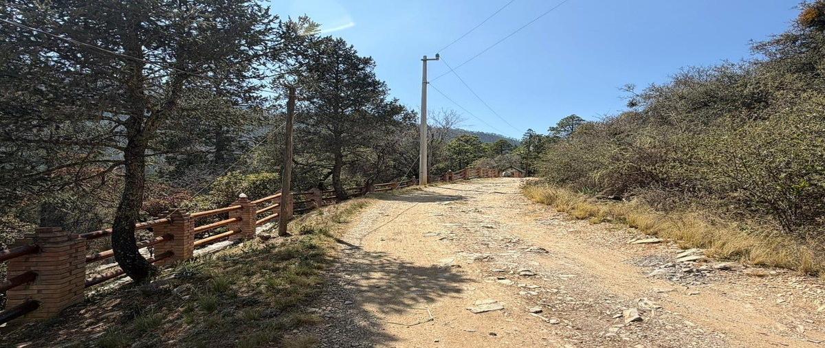 Foto de terreno habitacional en venta en monterreal , mesa de las tablas, arteaga, coahuila de zaragoza, 30983461 No. 03