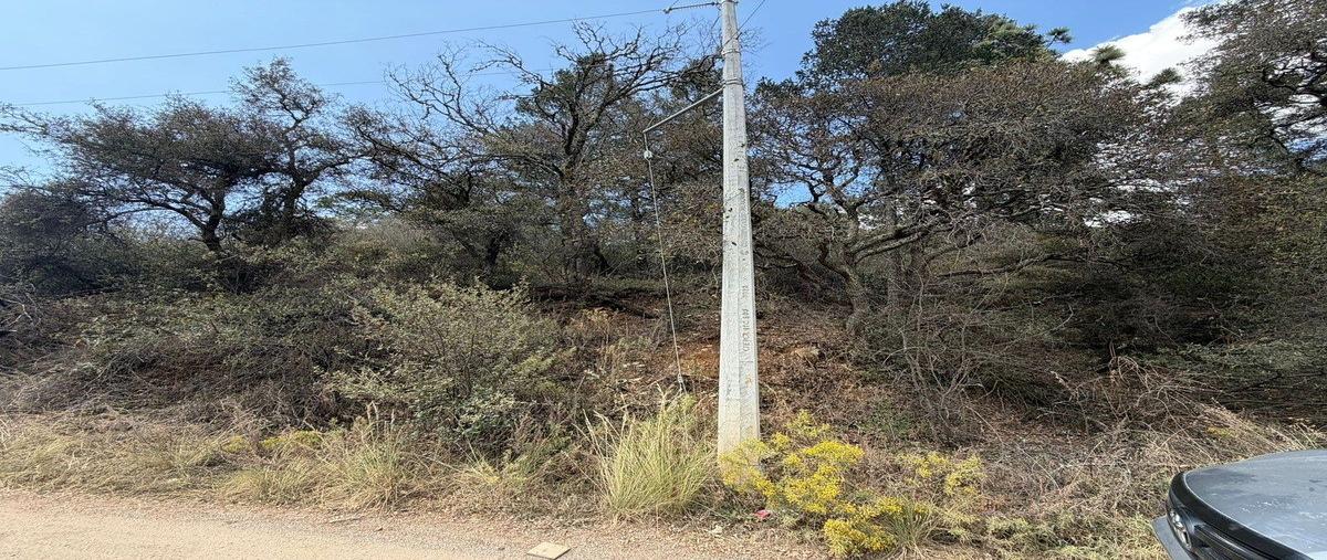 Foto de terreno habitacional en venta en monterreal , mesa de las tablas, arteaga, coahuila de zaragoza, 30983461 No. 04