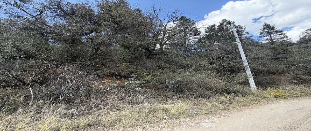 Foto de terreno habitacional en venta en monterreal , mesa de las tablas, arteaga, coahuila de zaragoza, 30983461 No. 05