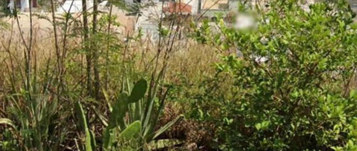 Foto de terreno habitacional en venta en  , monterrey centro, monterrey, nuevo león, 17807606 No. 05