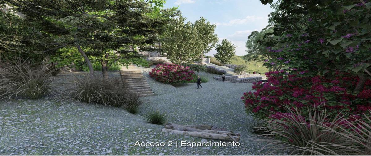 Foto de terreno habitacional en venta en  , monterrey centro, monterrey, nuevo león, 23877101 No. 10