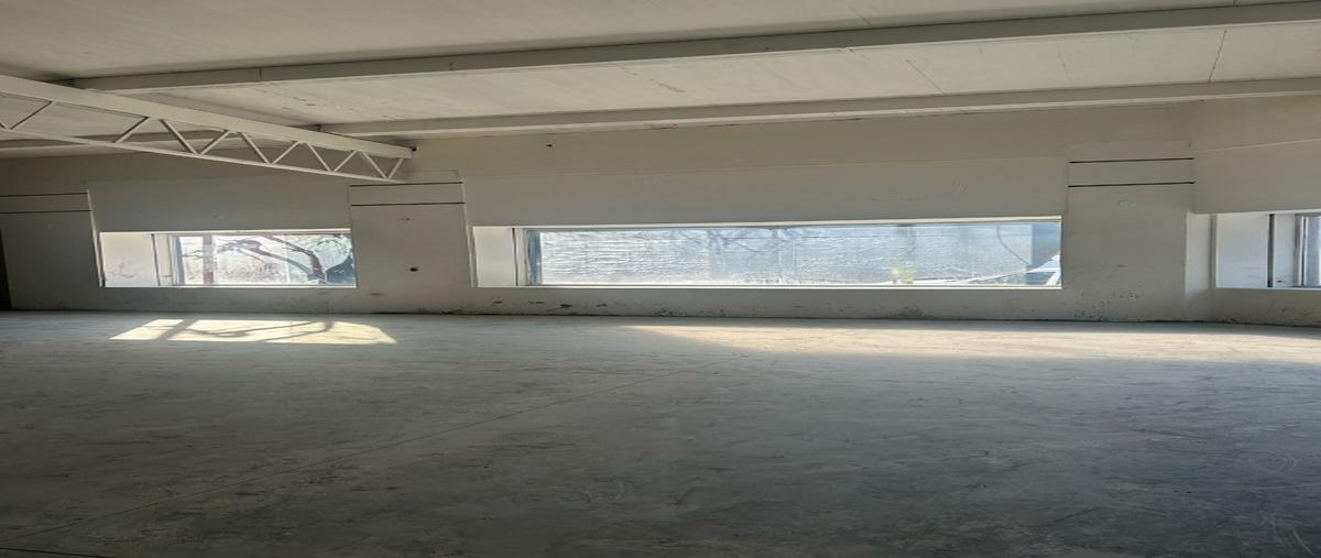 Foto de local en renta en  , monterrey centro, monterrey, nuevo león, 0 No. 03