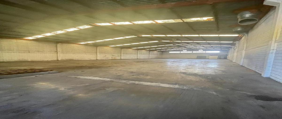 Foto de bodega en renta en  , monterrey centro, monterrey, nuevo león, 30270322 No. 04