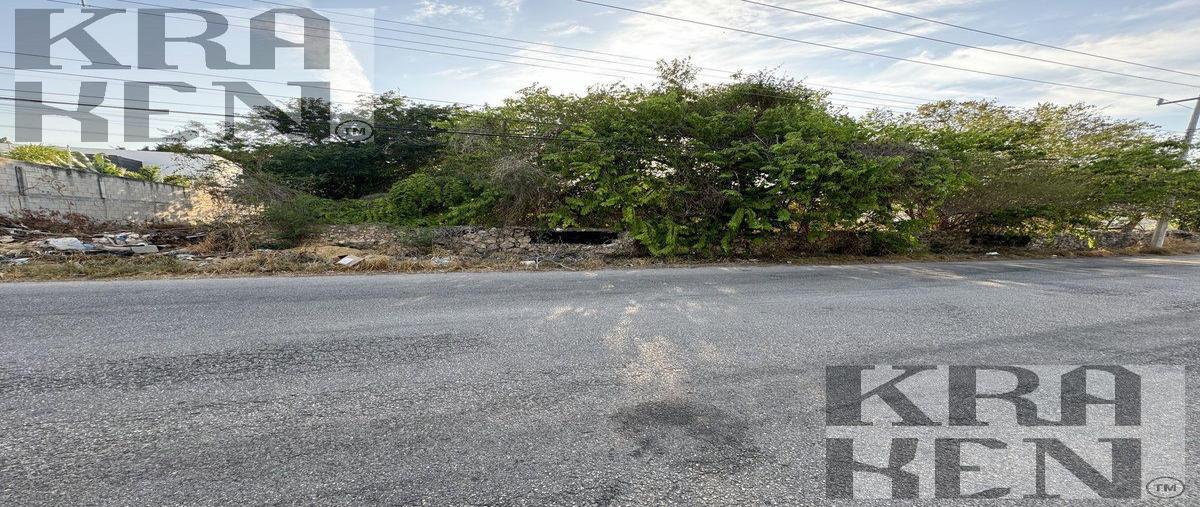 Foto de terreno habitacional en venta en  , montes de ame, mérida, yucatán, 30149408 No. 04