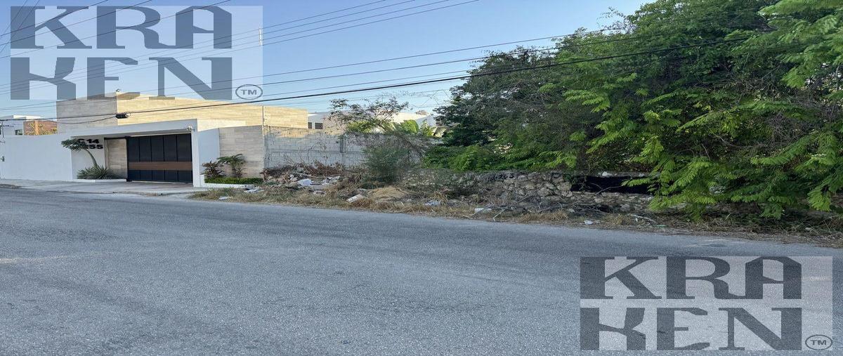 Foto de terreno habitacional en venta en  , montes de ame, mérida, yucatán, 30149408 No. 05