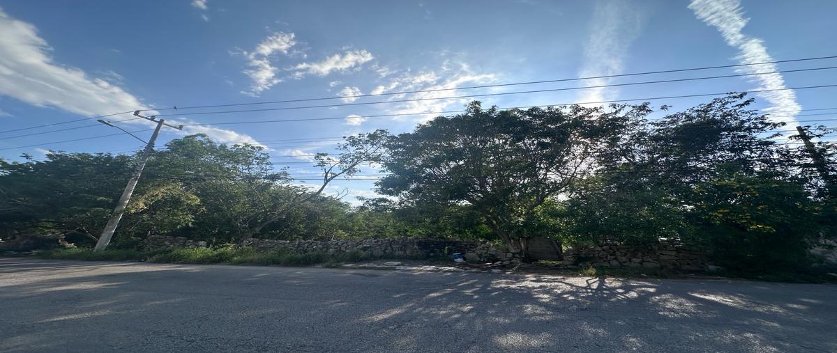 Foto de terreno habitacional en venta en  , montes de ame, mérida, yucatán, 0 No. 03
