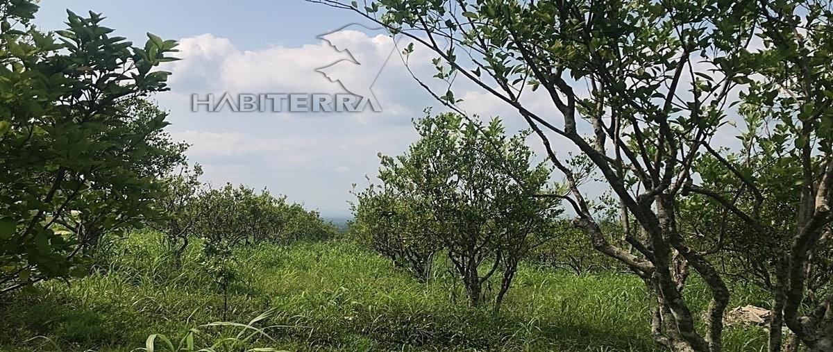 Foto de terreno habitacional en venta en montes de armenia, tuxpan veracruz. , montes de armenia, tuxpan, veracruz de ignacio de la llave, 0 No. 03