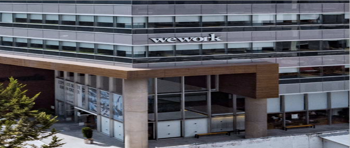 Foto de local en montes urales , lomas de chapultepec i sección, miguel hidalgo, df / cdmx, 25793829 foto 01 Foto de local en renta en montes urales , lomas de chapultepec i sección, miguel hidalgo, df / cdmx, 25793829 No. 01