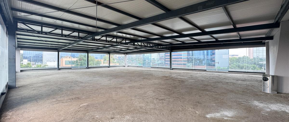 Foto de oficina en renta en montes urales , lomas de chapultepec i sección, miguel hidalgo, df / cdmx, 29999929 No. 04