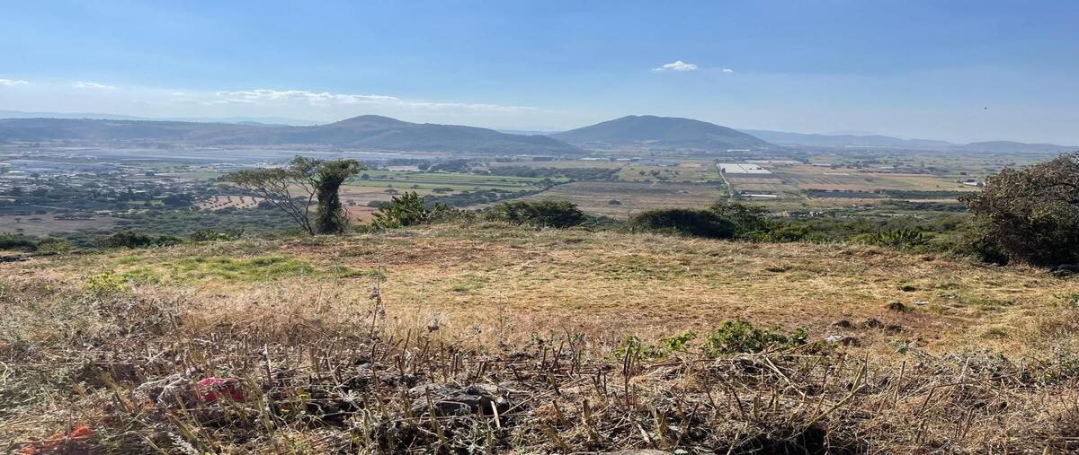 Foto de terreno habitacional en venta en montezzano , santa cruz de la loma (tepetates), tlajomulco de zúñiga, jalisco, 28855385 No. 04