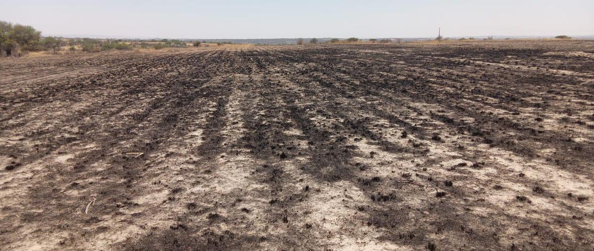 Foto de terreno habitacional en venta en  , montoro, aguascalientes, aguascalientes, 0 No. 04