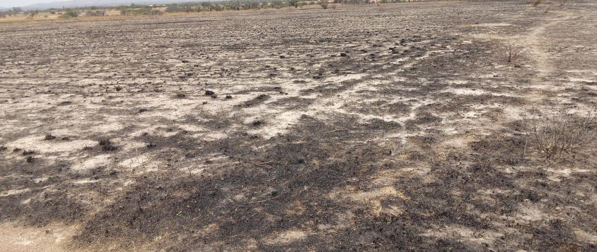Foto de terreno habitacional en venta en  , montoro, aguascalientes, aguascalientes, 0 No. 05