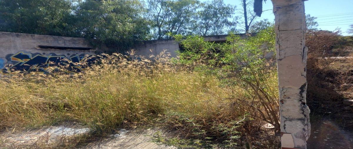 Foto de terreno habitacional en venta en montoro , montoro (mesa del salto), aguascalientes, aguascalientes, 0 No. 03