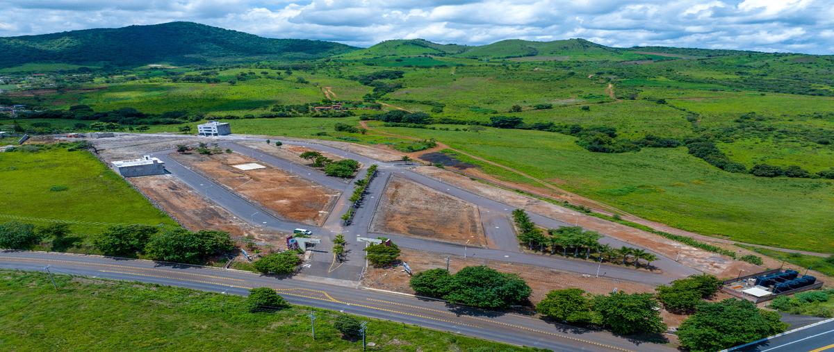 Foto de terreno habitacional en venta en  , mora, tepic, nayarit, 0 No. 03