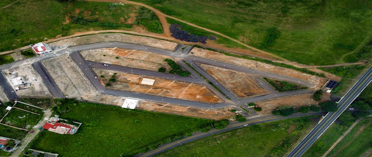 Foto de terreno habitacional en venta en  , mora, tepic, nayarit, 0 No. 05