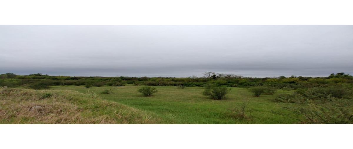 Foto de terreno habitacional en , moralillo, pánuco, veracruz de ignacio de la llave, 0 foto 05 Foto de terreno habitacional en venta en , moralillo, pánuco, veracruz de ignacio de la llave, 0 No. 05