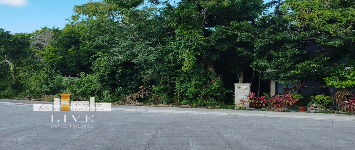 Foto de terreno habitacional en venta en morana , puerto morelos, puerto morelos, quintana roo, 0 No. 03