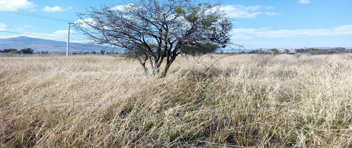 Foto de terreno habitacional en venta en  , morelia centro, morelia, michoacán de ocampo, 26129831 No. 04