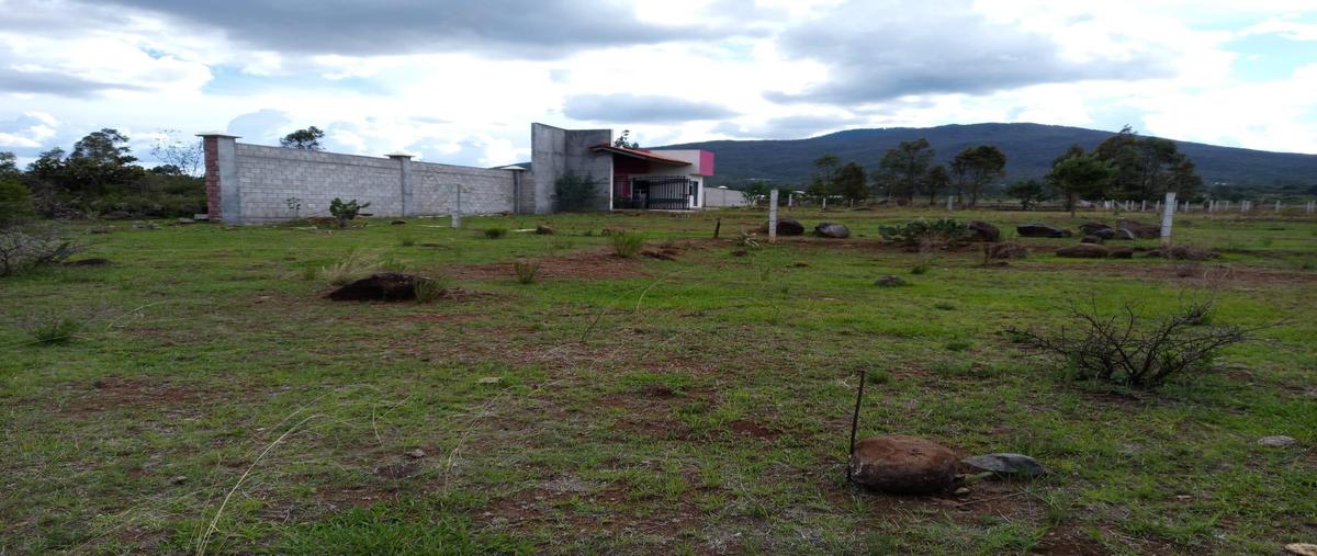 Foto de terreno habitacional en venta en  , morelia centro, morelia, michoacán de ocampo, 27016192 No. 03