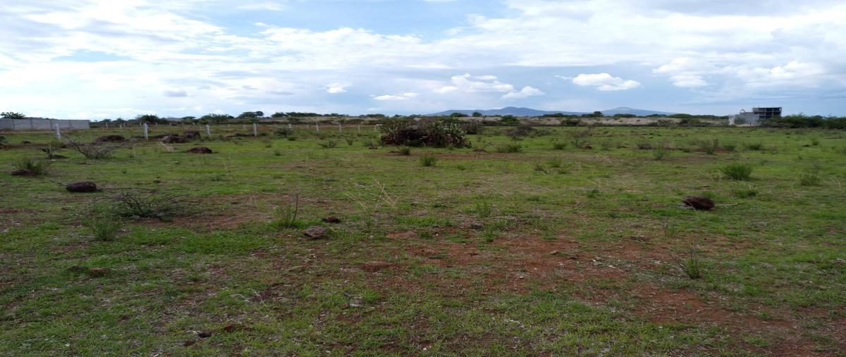 Foto de terreno habitacional en venta en  , morelia centro, morelia, michoacán de ocampo, 27016192 No. 05