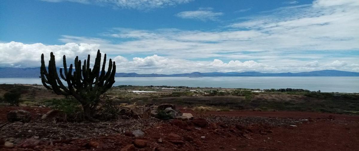 Foto de terreno habitacional en venta en morelia - guadalajara , tuxcueca, tuxcueca, jalisco, 24502846 No. 05