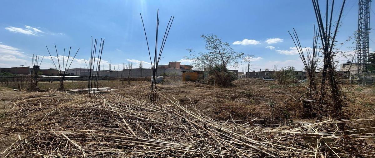 Foto de terreno habitacional en venta en morelos 1, santa cruz de arriba, texcoco, méxico, 29502402 No. 03
