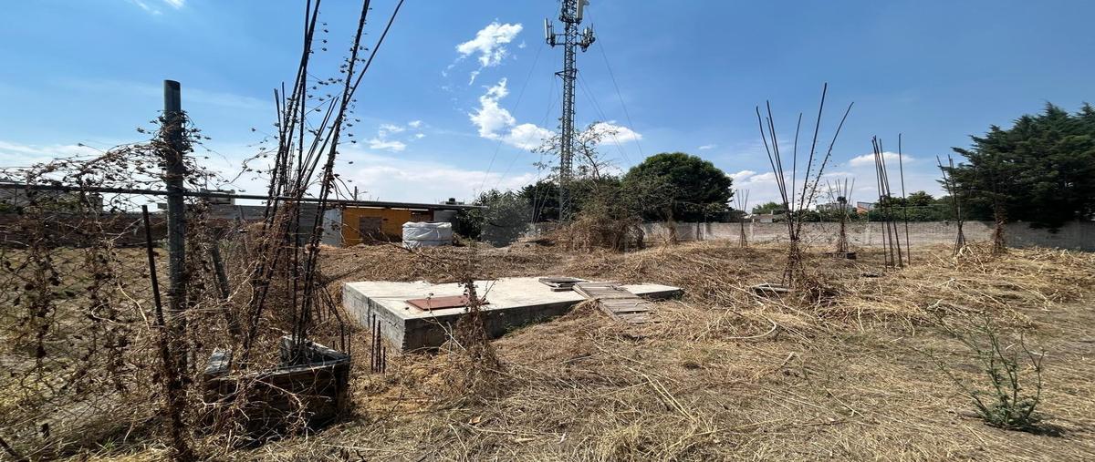 Foto de terreno habitacional en venta en morelos 1, santa cruz de arriba, texcoco, méxico, 0 No. 05