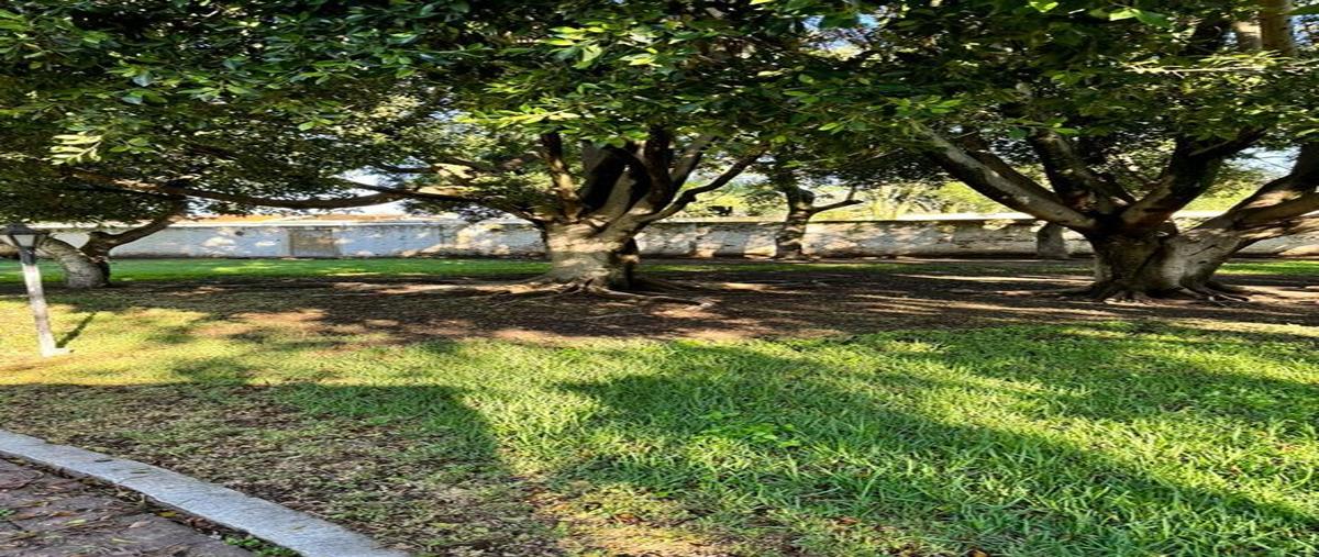 Foto de terreno habitacional en venta en morelos 14, los gavilanes, tlajomulco de zúñiga, jalisco, 28436705 No. 03