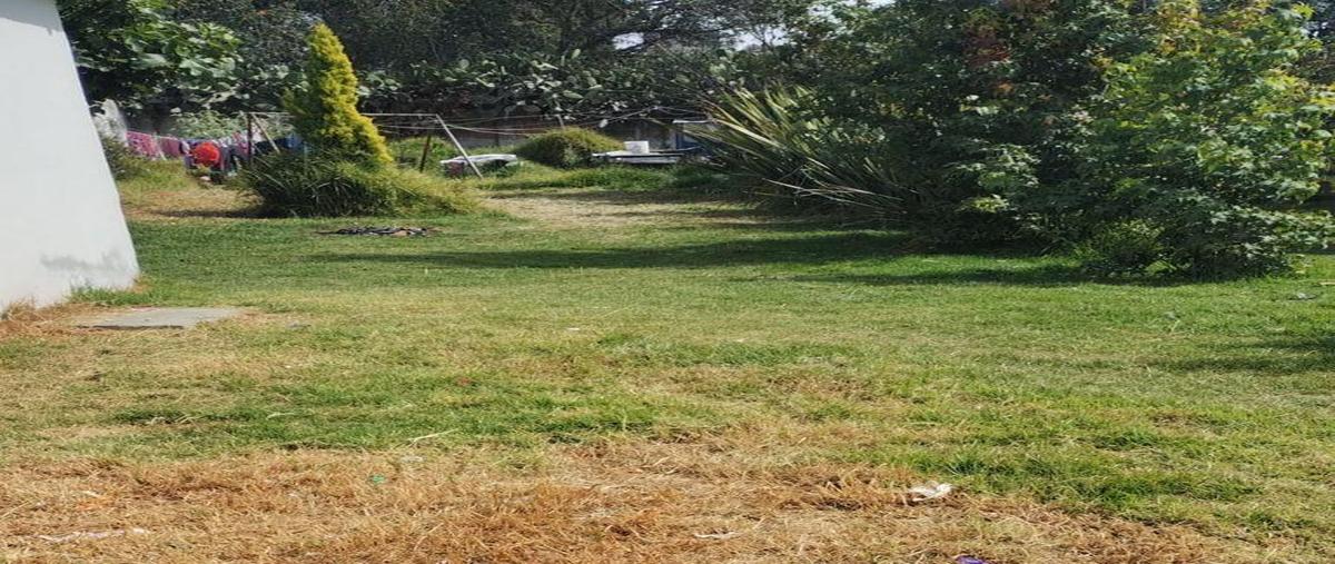 Foto de terreno comercial en venta en  , morelos 1a sección, toluca, méxico, 28703812 No. 03