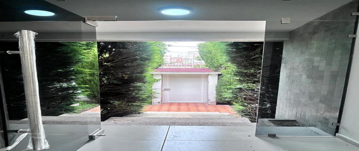 Foto de local en renta en  , morelos 2a secc, toluca, méxico, 0 No. 05