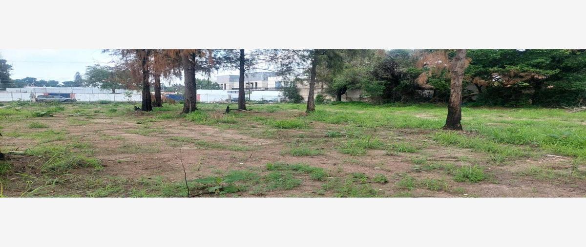 Foto de terreno habitacional en venta en morelos 355, los gavilanes, tlajomulco de zúñiga, jalisco, 26893957 No. 02