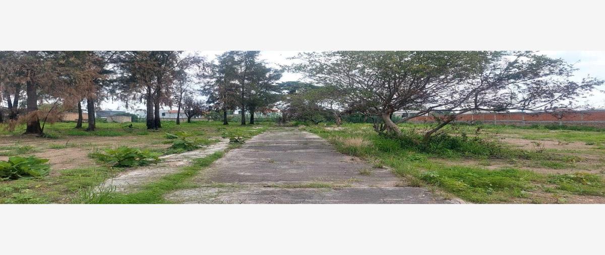 Foto de terreno habitacional en venta en morelos 355, los gavilanes, tlajomulco de zúñiga, jalisco, 26893957 No. 05