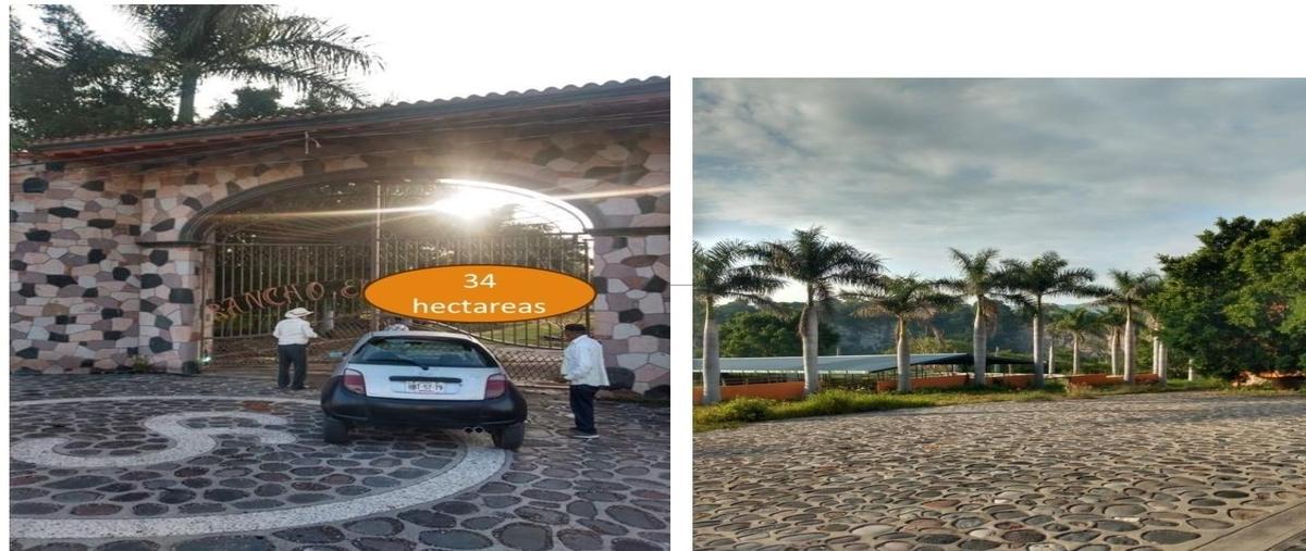Foto de rancho en venta en morelos , ampliación benito juárez, tlaltizapán de zapata, morelos, 28405662 No. 03
