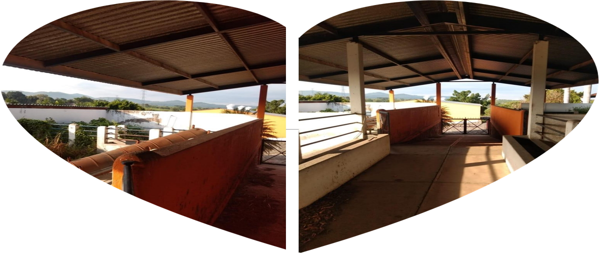 Foto de rancho en venta en morelos , ampliación benito juárez, tlaltizapán de zapata, morelos, 28405662 No. 05