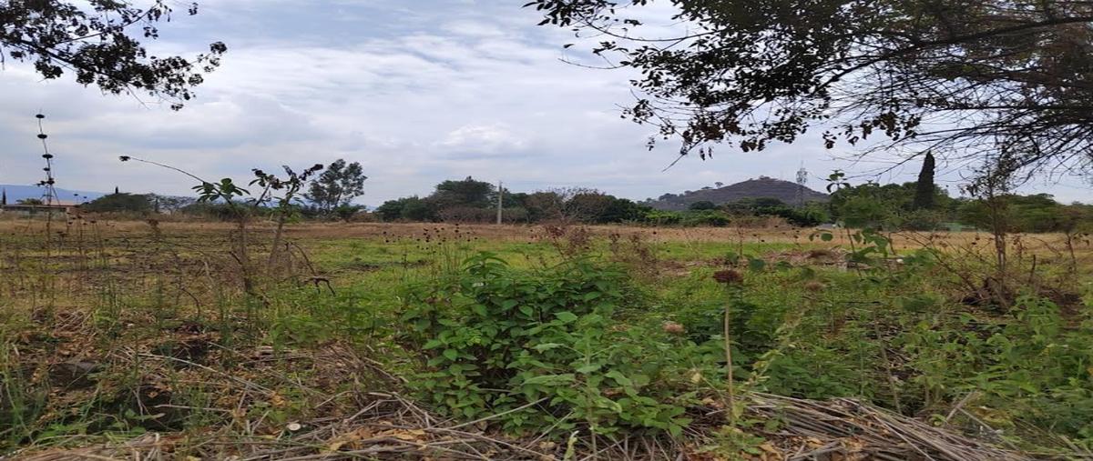 Foto de terreno habitacional en venta en morelos , cabrera, atlixco, puebla, 29931114 No. 04