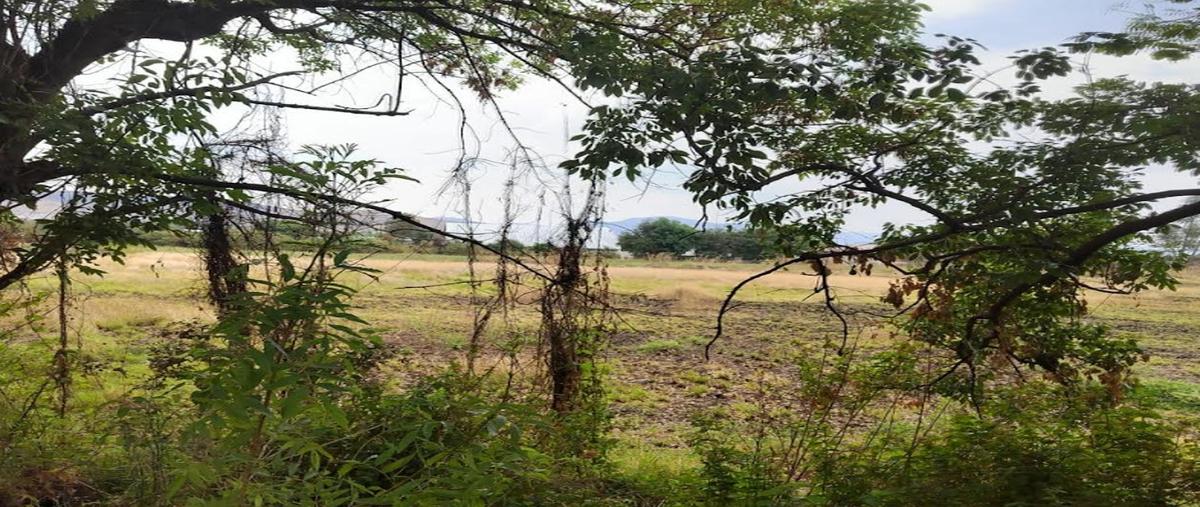 Foto de terreno habitacional en venta en morelos , cabrera, atlixco, puebla, 29931114 No. 05