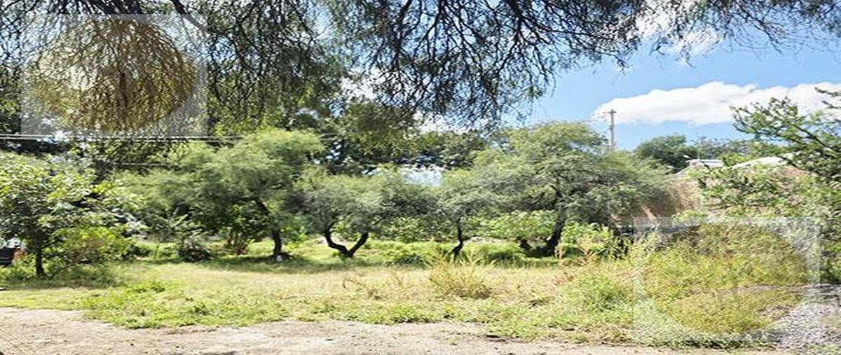 Foto de terreno habitacional en venta en  , morelos centro, tecozautla, hidalgo, 0 No. 03