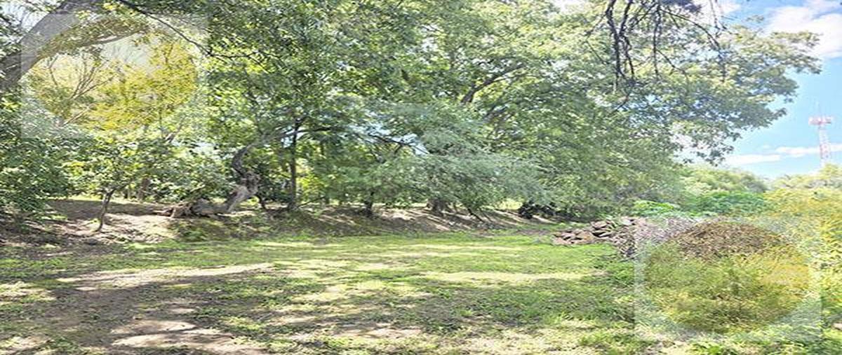 Foto de terreno habitacional en venta en  , morelos centro, tecozautla, hidalgo, 0 No. 04